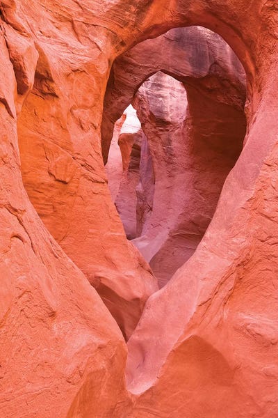 Sandstone formations in Peek-a-boo Gulch, Grand Staircase-Escalante National Monument, Utah, USA II by Russ Bishop acrylic art print