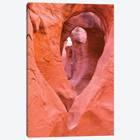 Sandstone formations in Peek-a-boo Gulch, Grand Staircase-Escalante National Monument, Utah, USA II Canvas Print #RBS27} by Russ Bishop Canvas Wall Art