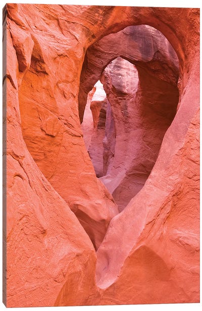 Sandstone formations in Peek-a-boo Gulch, Grand Staircase-Escalante National Monument, Utah, USA II Canvas Art Print