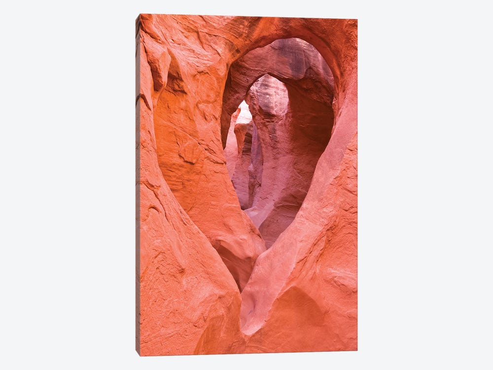 Sandstone formations in Peek-a-boo Gulch, Grand Staircase-Escalante National Monument, Utah, USA II by Russ Bishop 1-piece Canvas Print