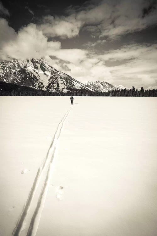 Backcountry skier under Mount Moran, Grand Teton National Park, Wyoming, USA 