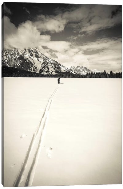 Backcountry skier under Mount Moran, Grand Teton National Park, Wyoming, USA  Canvas Art Print