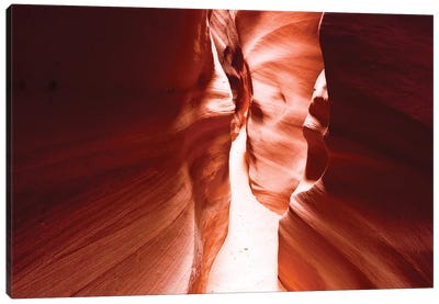 Slot canyon in Spooky Gulch, Grand Staircase-Escalante National Monument, Utah, USA Canvas Art Print - Utah Art