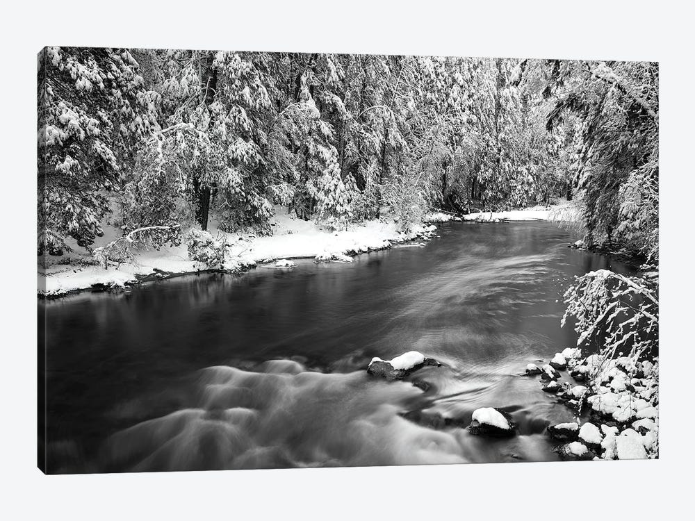 Snow dusted pines along the Merced River, Yosemite National Park, California, USA by Russ Bishop 1-piece Canvas Art