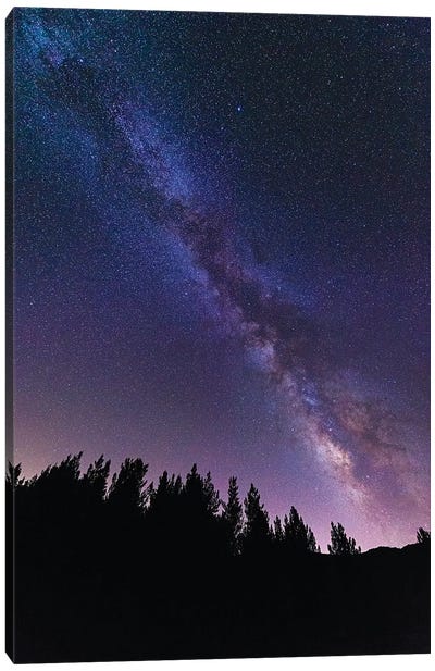 The Milky Way over Rose Valley, Los Padres National Forest, California, USA Canvas Art Print - Milky Way Galaxy Art