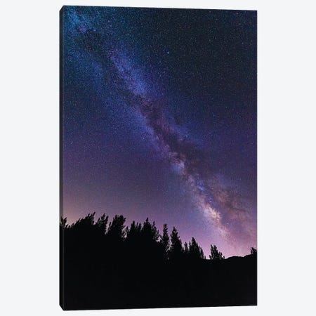 The Milky Way over Rose Valley, Los Padres National Forest, California, USA Canvas Print #RBS44} by Russ Bishop Canvas Wall Art