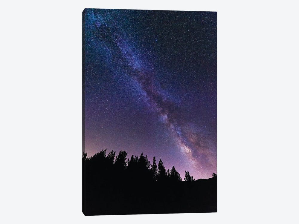 The Milky Way over Rose Valley, Los Padres National Forest, California, USA by Russ Bishop 1-piece Canvas Art