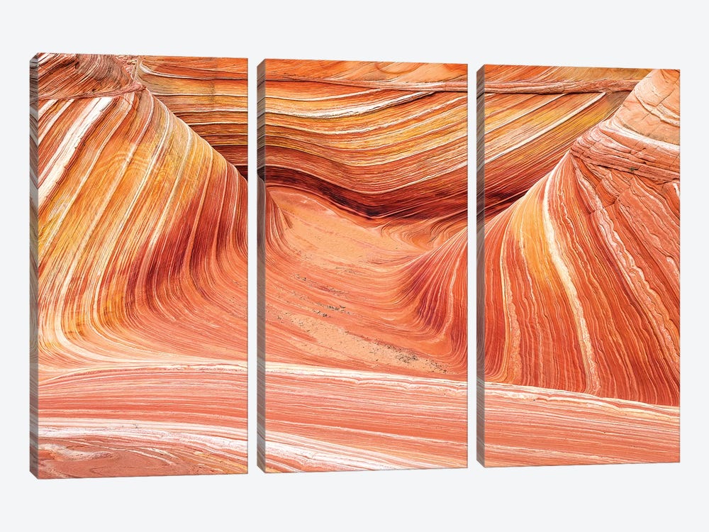 The Wave, Coyote Buttes, Paria-Vermilion Cliffs Wilderness, Arizona USA by Russ Bishop 3-piece Art Print