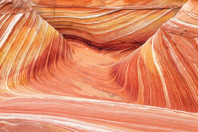 The Wave, Coyote Buttes, Paria-Vermilion Cliffs Wilderness, Arizona USA by Russ Bishop wall art