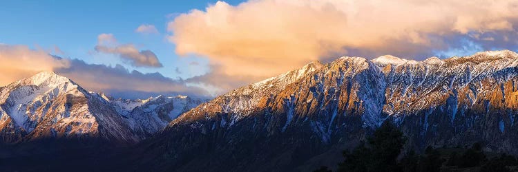 Winter sunrise on Mount Tom and the Sierra crest, Inyo National Forest, California, USA by Russ Bishop wall art