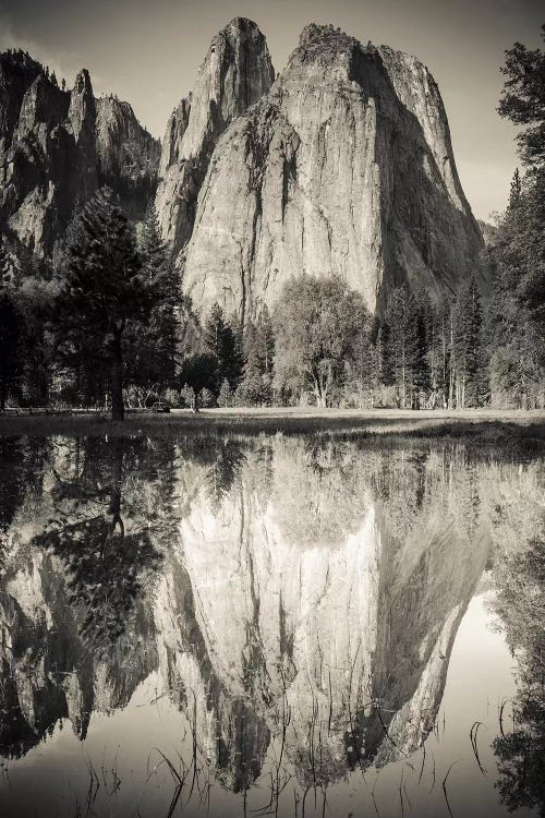 Cathedral Rocks reflected in pond, Yosemite National Park, California