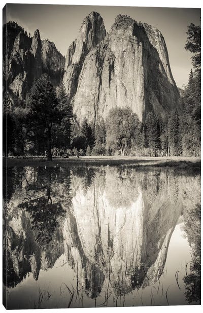 Cathedral Rocks reflected in pond, Yosemite National Park, California Canvas Art Print