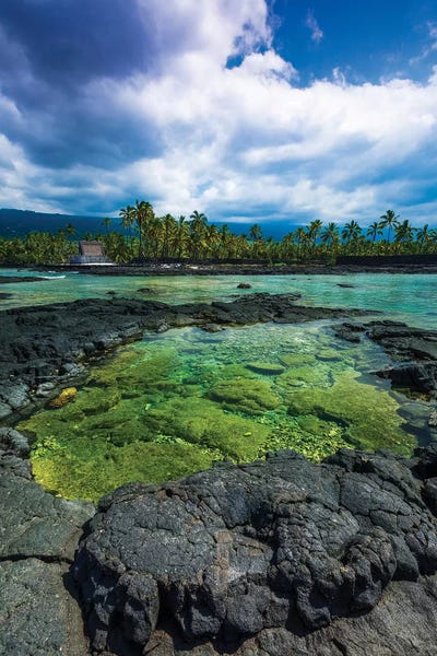 Coral reef and haiku, Pu'uhonua O Honaunau National Historic Park, Kona Coast, Hawaii by Russ Bishop art print