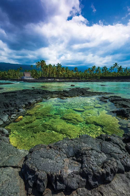 Coral reef and haiku, Pu'uhonua O Honaunau National Historic Park, Kona Coast, Hawaii