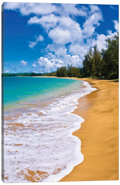 Empty beach and blue Pacific waters on Hanalei Bay, Island of Kauai, Hawaii, USA Canvas Art Print