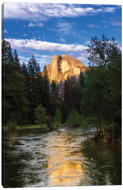 Evening light on Half Dome above the Merced River, Yosemite National Park, California, USA Canvas Art Print - Yosemite National Park Art