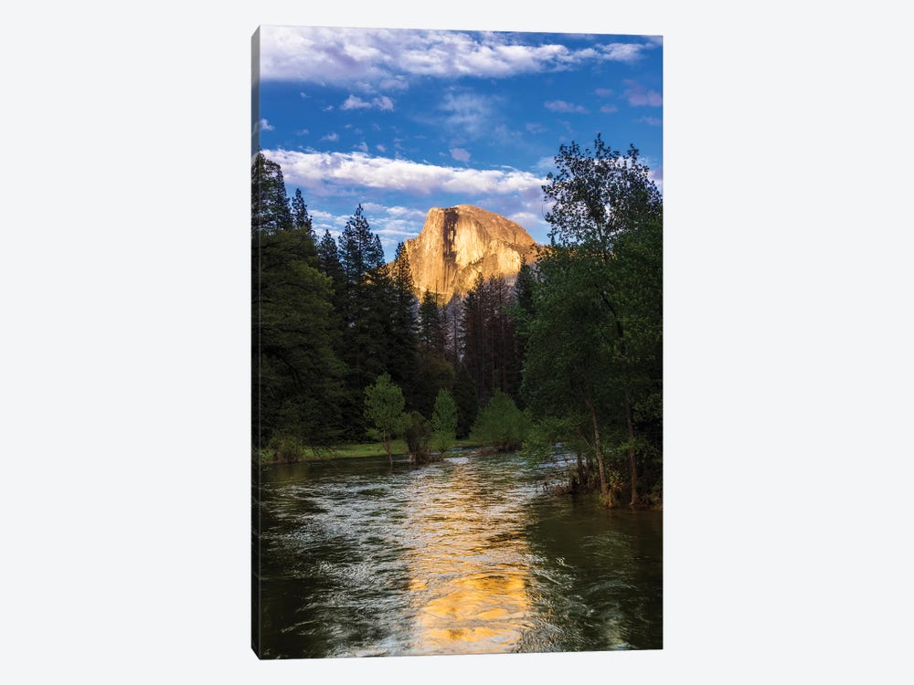 Evening light on Half Dome above the Merced River, Yosemite National Park, California, USA by Russ Bishop 1-piece Canvas Print