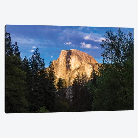 Evening light on Half Dome, Yosemite National Park, California, USA Canvas Print #RBS73} by Russ Bishop Canvas Wall Art