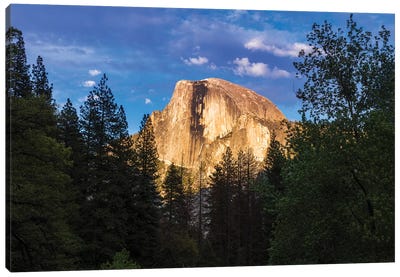 Evening light on Half Dome, Yosemite National Park, California, USA Canvas Art Print - Yosemite National Park Art