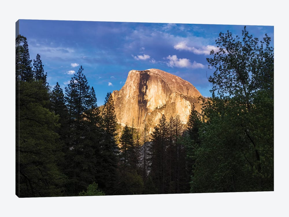 Evening light on Half Dome, Yosemite National Park, California, USA by Russ Bishop 1-piece Canvas Artwork