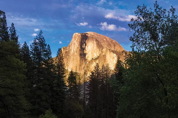 Russ Bishop: Evening light on Half Dome, Yosemite National Park, California, USA by Russ Bishop