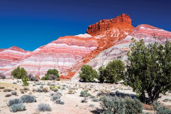 Russ Bishop: Evening light on the Cockscomb, Grand Staircase-Escalante National Monument, Utah, USA by Russ Bishop