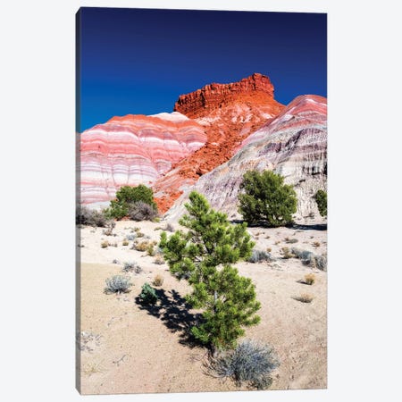 Evening light on the Cockscomb, Grand Staircase-Escalante National Monument, Utah, USA Canvas Print #RBS76} by Russ Bishop Canvas Print