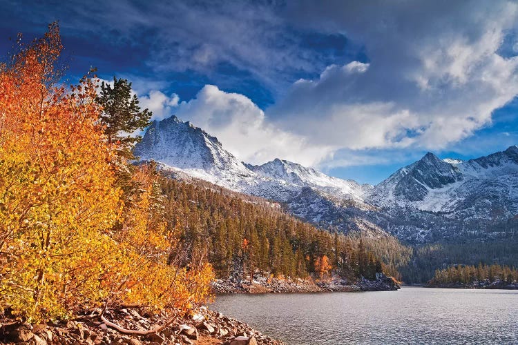 Fall aspens under Sierra peaks from South Lake, John Muir Wilderness, Sierra Nevada Mountains, CA by Russ Bishop wall art