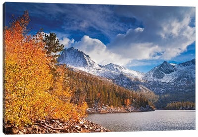 Fall aspens under Sierra peaks from South Lake, John Muir Wilderness, Sierra Nevada Mountains, CA Canvas Art Print