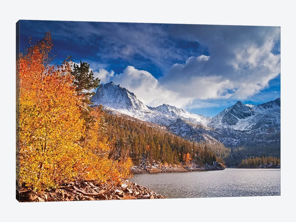 Fall aspens under Sierra peaks from South Lake, John Muir Wilderness, Sierra Nevada Mountains, CA by Russ Bishop 1-piece Canvas Art