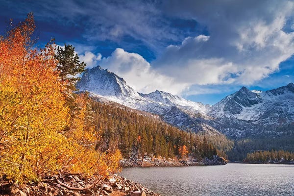 Russ Bishop: Fall aspens under Sierra peaks from South Lake, John Muir Wilderness, Sierra Nevada Mountains, CA by Russ Bishop