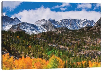 Fall color and early snow at North Lake, Inyo National Forest, Sierra Nevada Mountains, California Canvas Art Print - Sierra Nevada Art