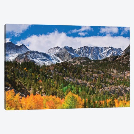 Fall color and early snow at North Lake, Inyo National Forest, Sierra Nevada Mountains, California Canvas Print #RBS90} by Russ Bishop Canvas Artwork