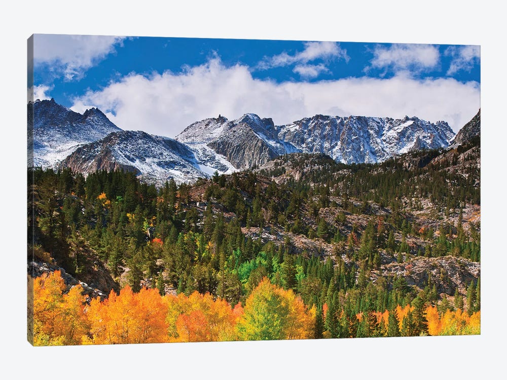 Fall color and early snow at North Lake, Inyo National Forest, Sierra Nevada Mountains, California by Russ Bishop 1-piece Canvas Art Print