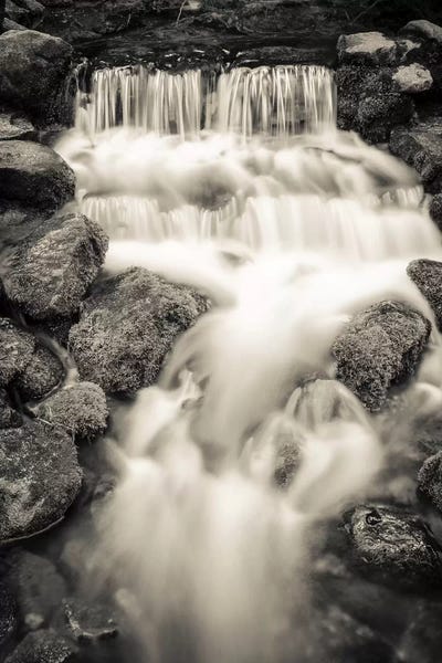 Yosemite National Park: Fern Spring II, Yosemite National Park, California, USA by Russ Bishop