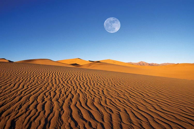 Full moon over evening light on dune patterns on the Mesquite Flat Sand Dunes, Death Valley NP, CA