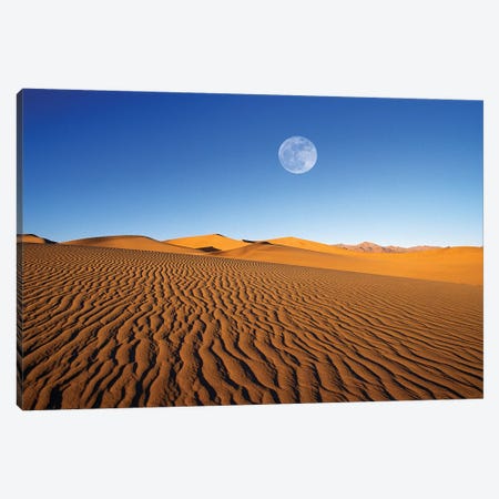 Full moon over evening light on dune patterns on the Mesquite Flat Sand Dunes, Death Valley NP, CA Canvas Print #RBS95} by Russ Bishop Art Print
