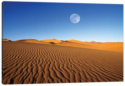 Full moon over evening light on dune patterns on the Mesquite Flat Sand Dunes, Death Valley NP, CA Canvas Art Print - Death Valley National Park Art