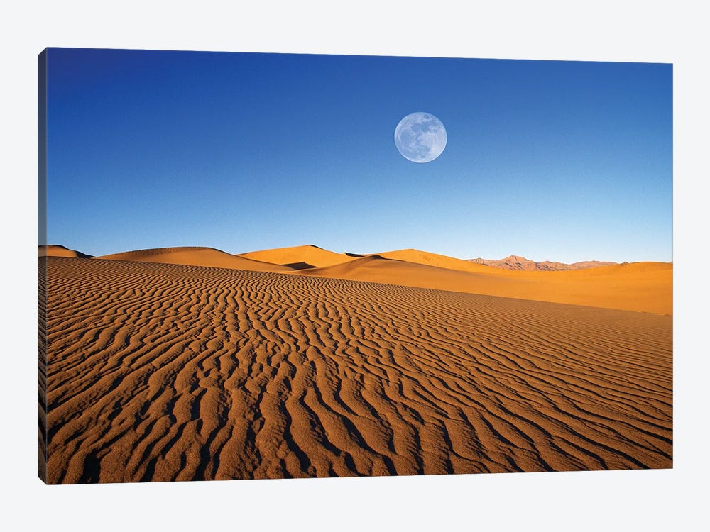Full moon over evening light on dune patterns on the Mesquite Flat Sand Dunes, Death Valley NP, CA by Russ Bishop 1-piece Canvas Artwork