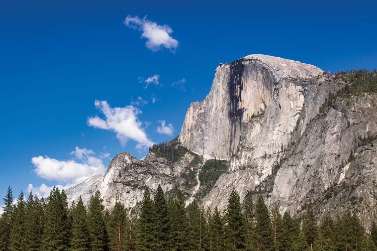 Half Dome, Yosemite National Park, California, USA by Russ Bishop wall art