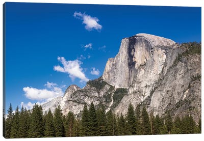 Half Dome, Yosemite National Park, California, USA Canvas Art Print