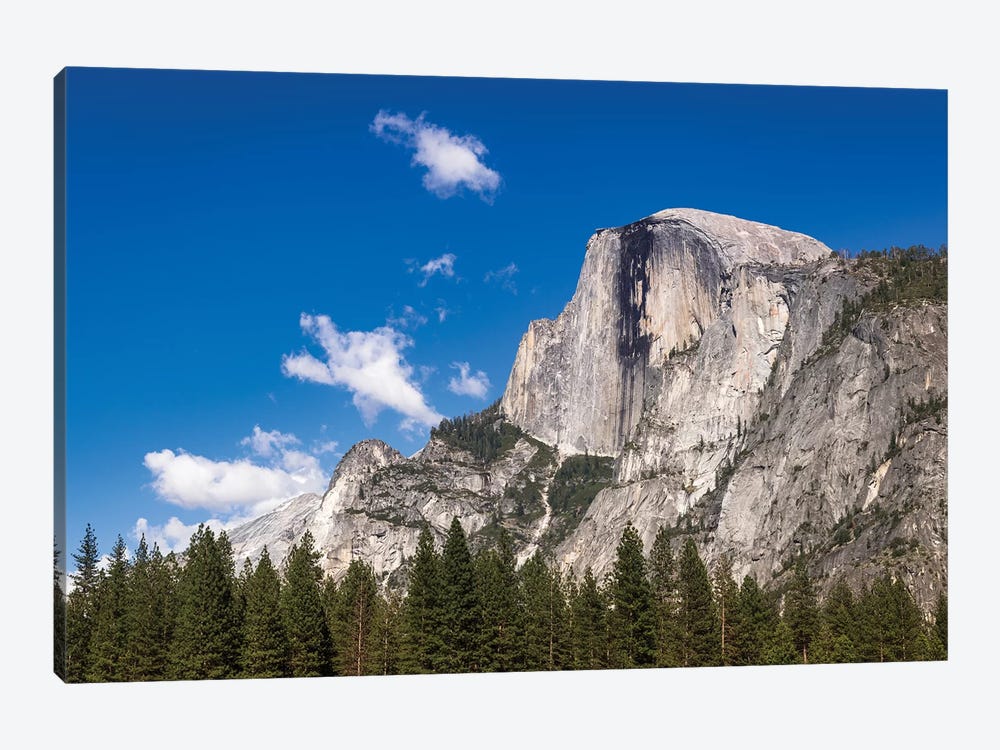 Half Dome, Yosemite National Park, California, USA by Russ Bishop 1-piece Art Print