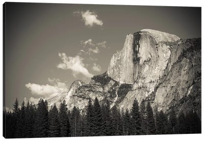 Half Dome, Yosemite National Park, California, USA Canvas Art Print - Yosemite National Park Art