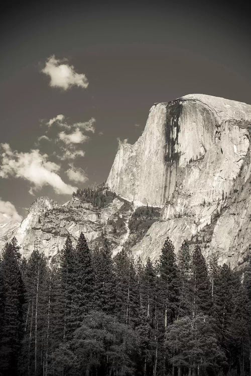 Half Dome, Yosemite National Park, California, USA by Russ Bishop wall art