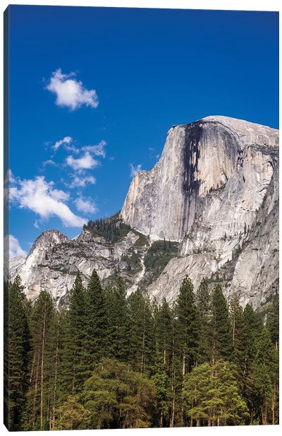 Half Dome, Yosemite National Park, California, USA Canvas Art Print - Mountains Scenic Photography
