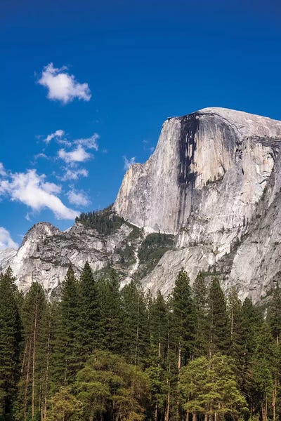 Danita Delimont Photography: Half Dome III, Yosemite National Park, California, USA by Russ Bishop