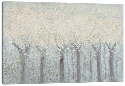 Spring Trees Canvas Art Print