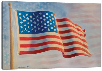 American Flag V Canvas Art Print - Richard Burns