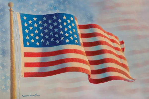 American Flags: American Flag V by Richard Burns