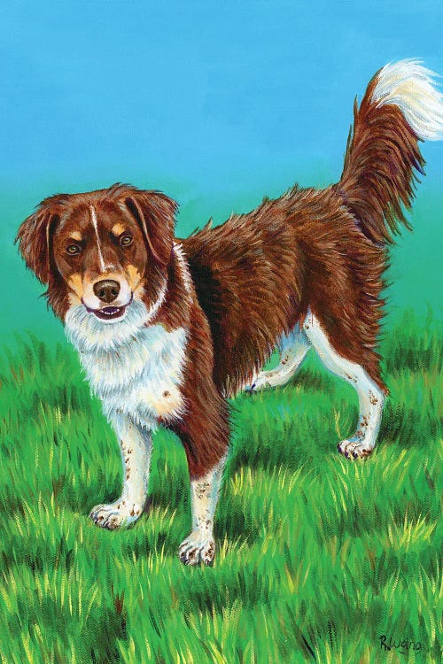 Brown And White Dog